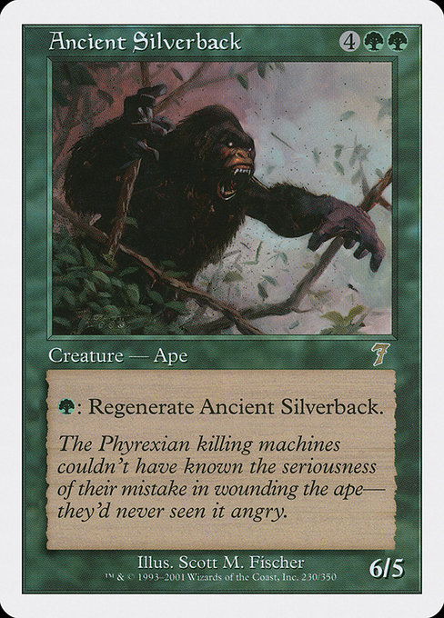 Vieux gorille à dos argenté|Ancient Silverback
