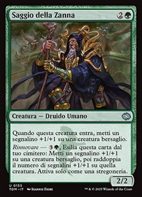 Saggio della Zanna