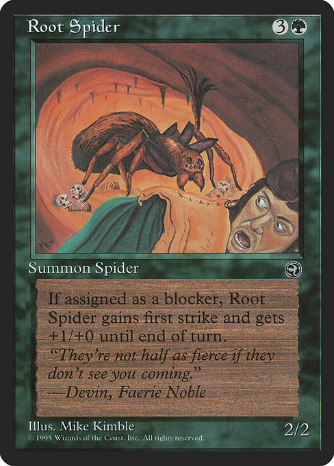 Araignée des souches|Root Spider
