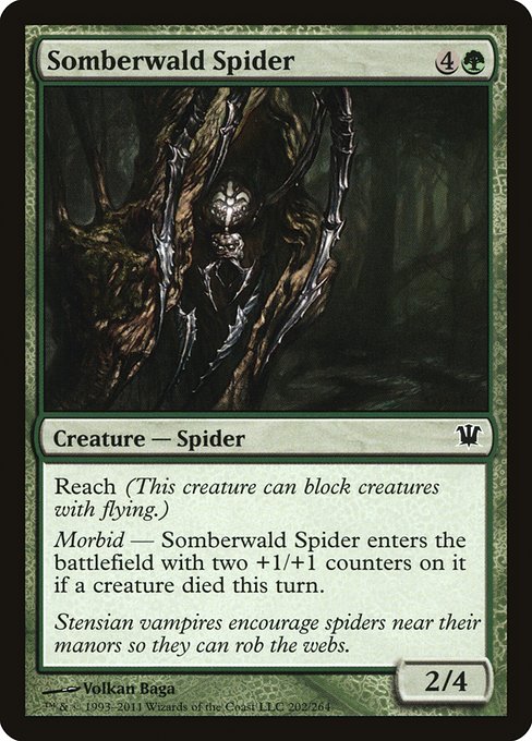 Araignée de Somberwald|Somberwald Spider