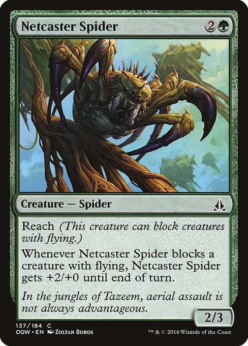 Araignée lanceuse de rets|Netcaster Spider