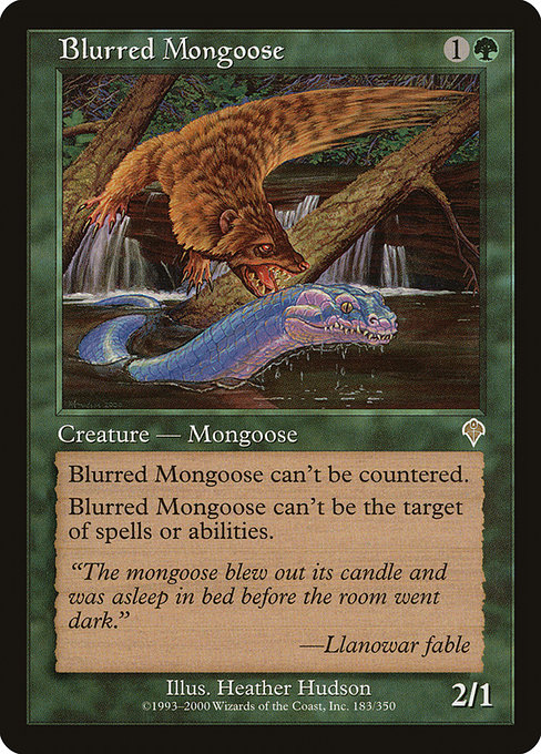 Mangouste floue|Blurred Mongoose