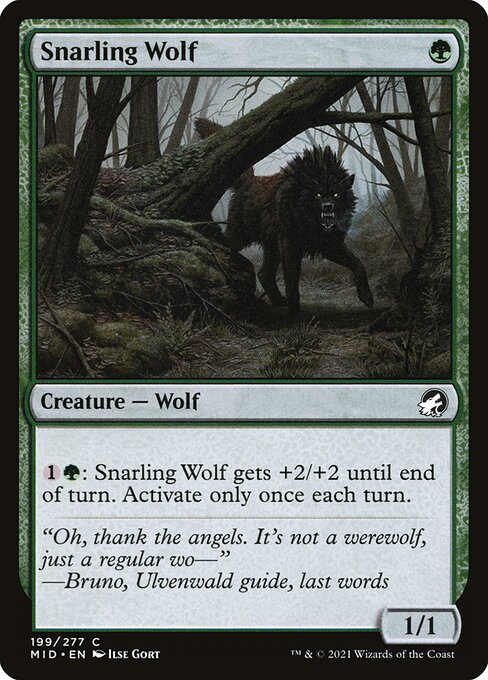 Snarling Wolf (Innistrad: Midnight Hunt #199)