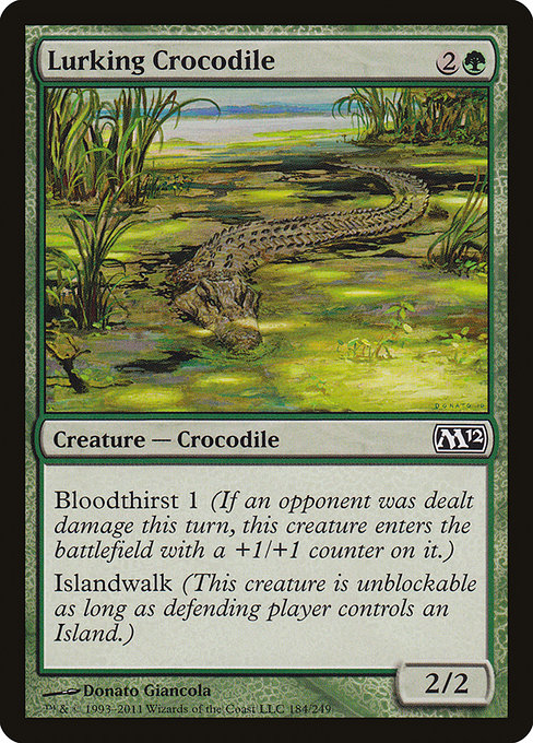 Crocodile en maraude|Lurking Crocodile