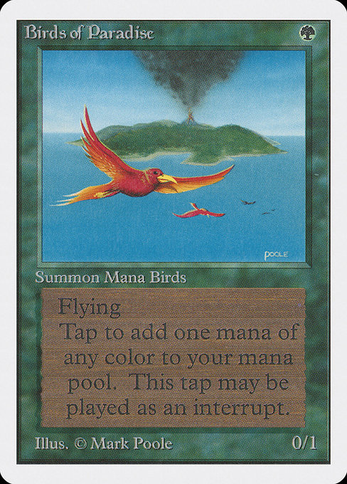Birds of Paradise (Unlimited Edition #187)