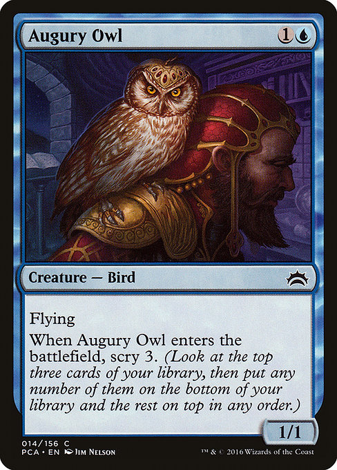 Augury Owl (pca) 14