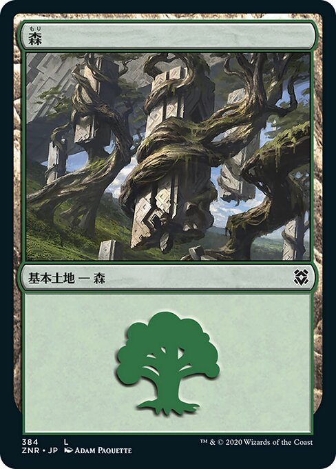 Forest (Zendikar Rising #384)