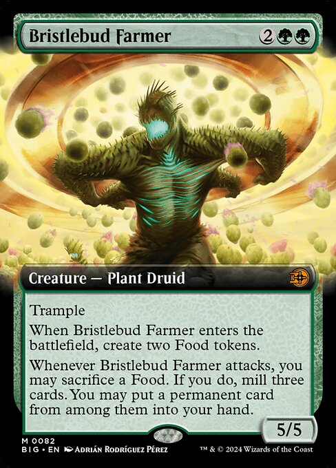 Bristlebud Farmer (big) 82