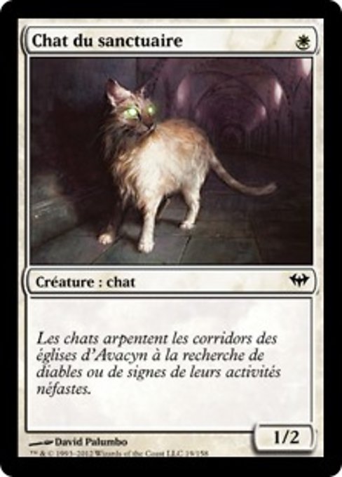 Sanctuary Cat (Dark Ascension #19)