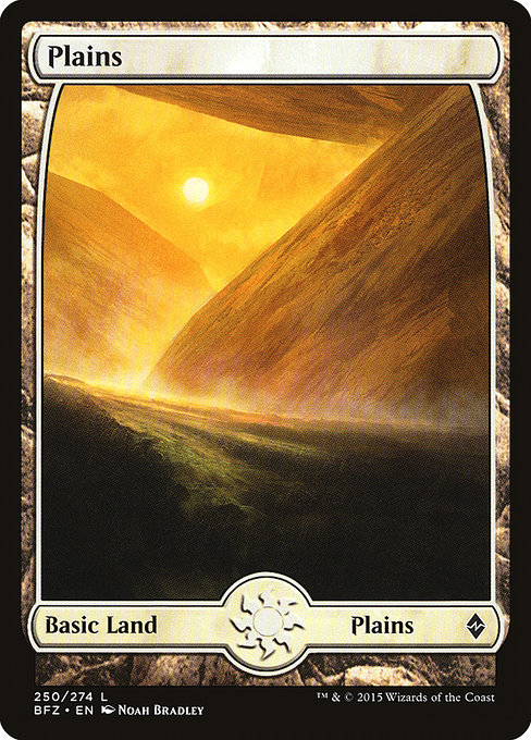 Plains (Battle for Zendikar #250)