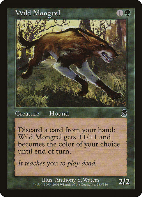 Wild Mongrel (ODY)