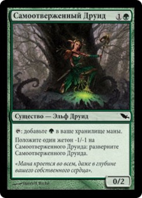 Devoted Druid (Shadowmoor #110)