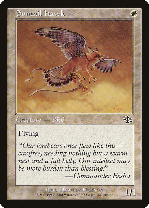 Faucon mordoré|Suntail Hawk