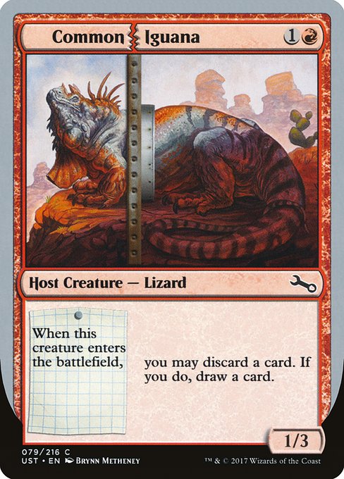 Common Iguana card image