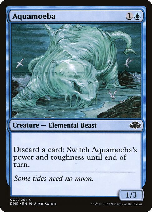 Aquamibe|Aquamoeba