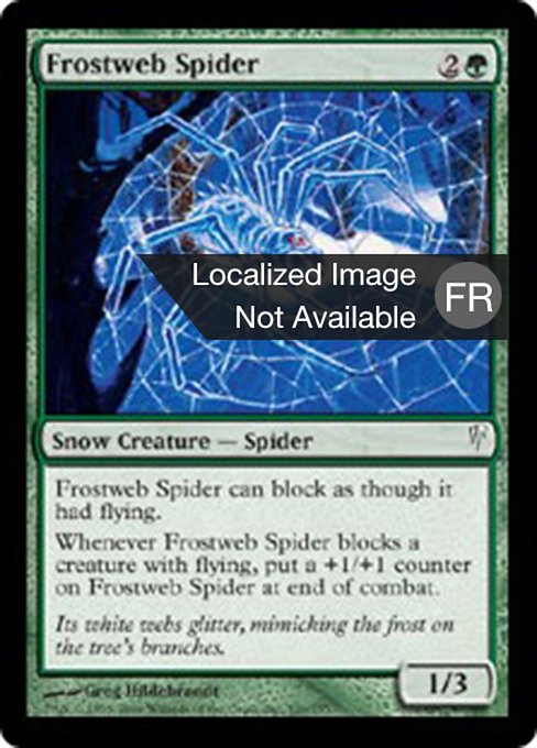 Frostweb Spider (Coldsnap #109)
