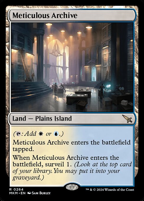 Meticulous Archive (mkm) 264