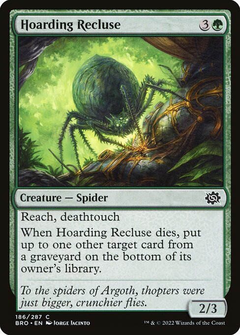 Hoarding Recluse (bro) 186