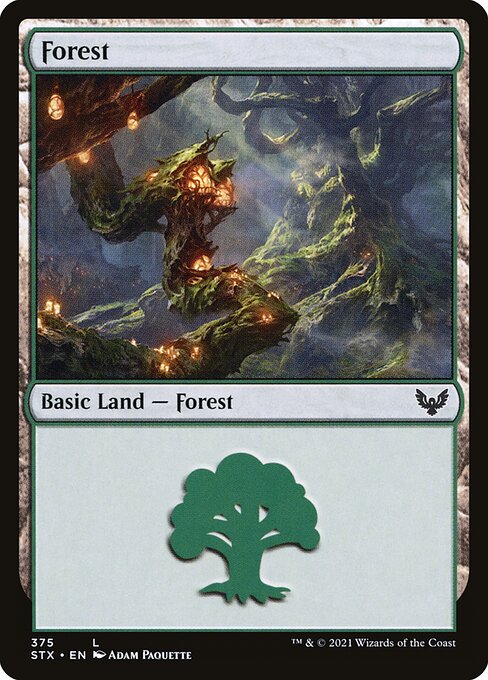 Forest (STX)