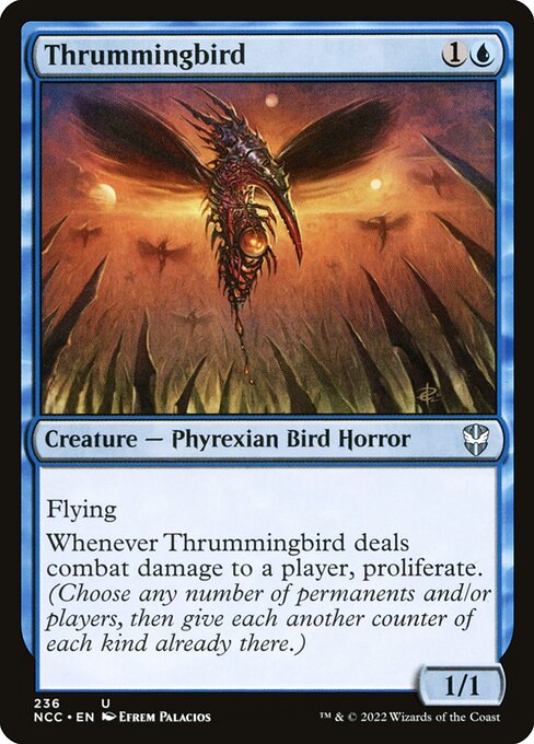 Thrummingbird (NCC)