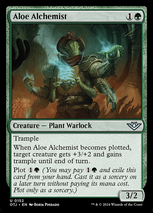Alchimiste aloès|Aloe Alchemist