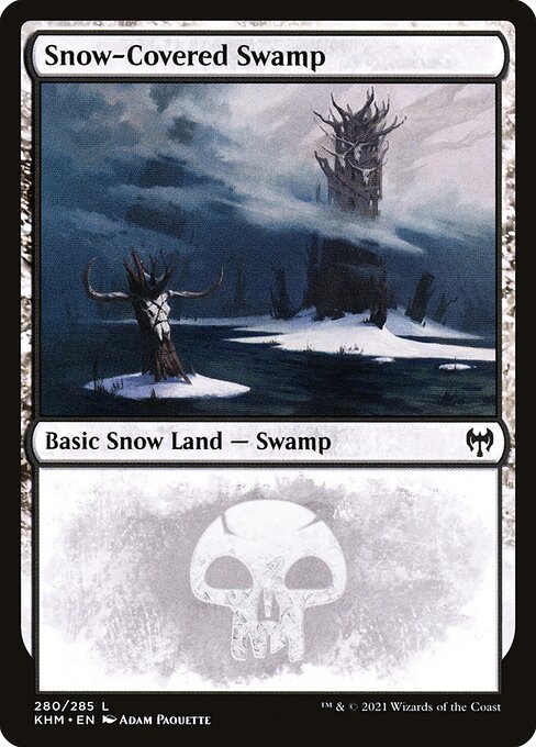 Marais enneigé|Snow-Covered Swamp