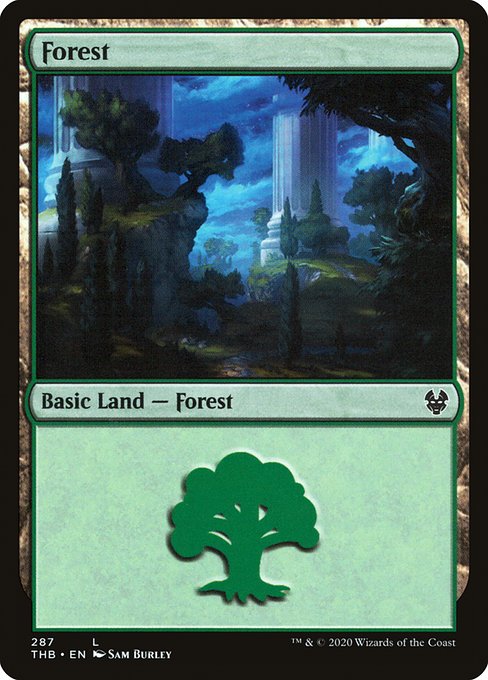 Forêt|Forest
