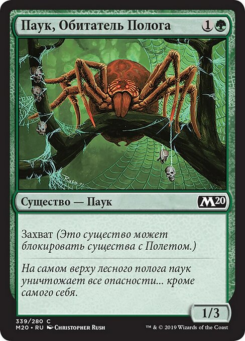 Canopy Spider (Core Set 2020 #339)