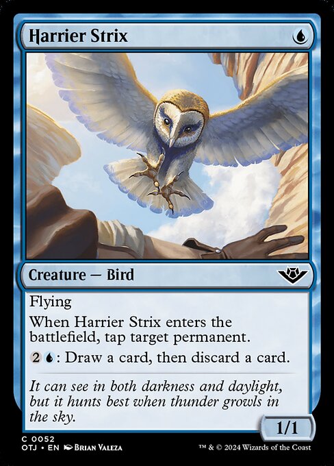 Strix busard|Harrier Strix