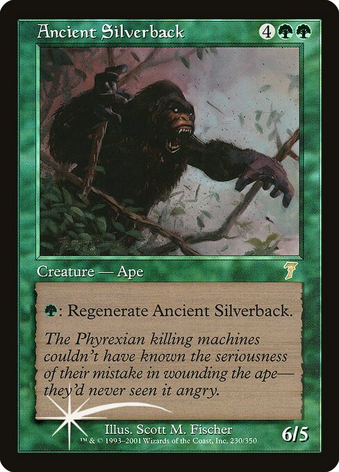 Vieux gorille à dos argenté|Ancient Silverback