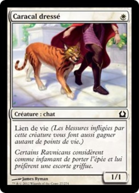 Trained Caracal (Return to Ravnica #27)