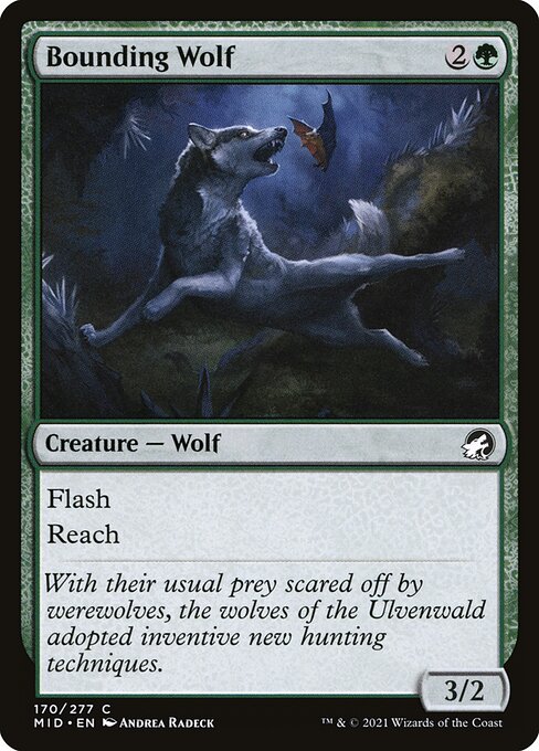 Bounding Wolf card image