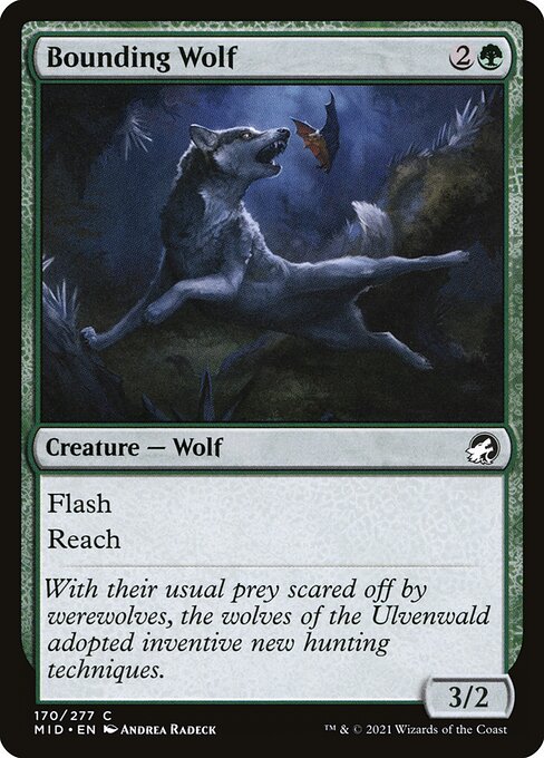 Bounding Wolf (Innistrad: Midnight Hunt #170)