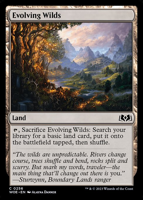 Evolving Wilds card image