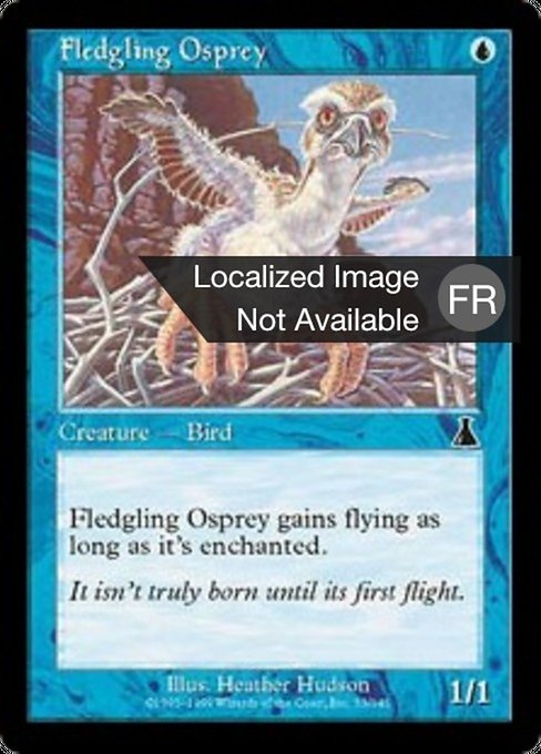 Fledgling Osprey (Urza's Destiny #33)