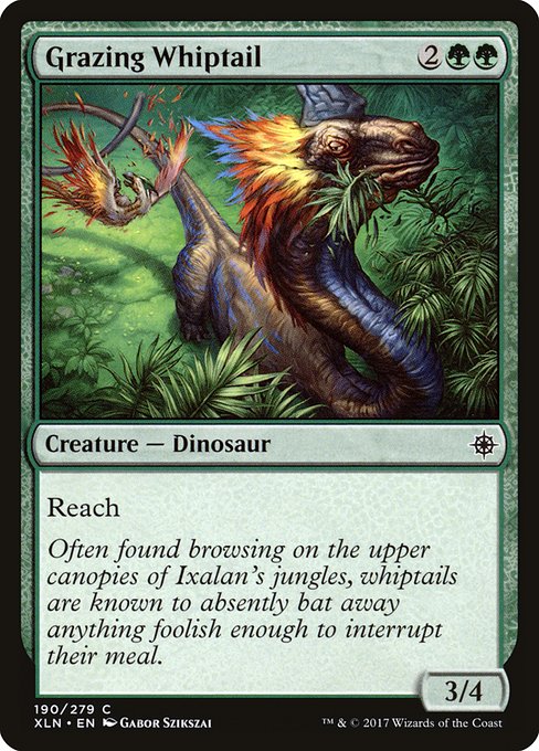 Grazing Whiptail card image