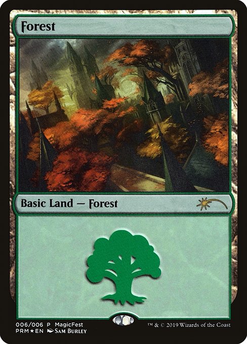 Forest (MagicFest 2019 #6)
