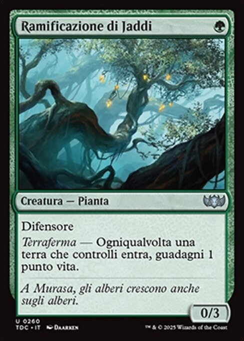 Ramificazione di Jaddi
