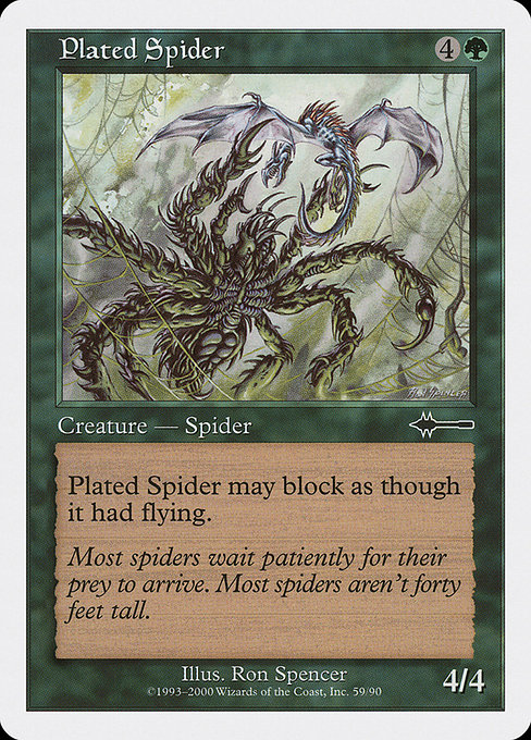 Araignée à Plaques|Plated Spider