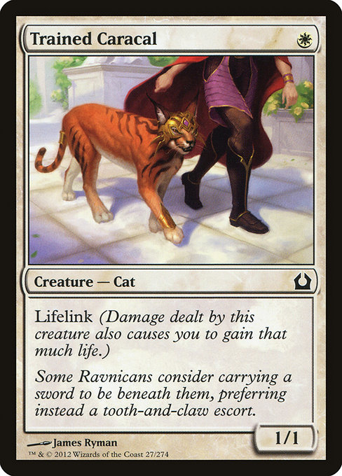 Trained Caracal (Return to Ravnica #27)