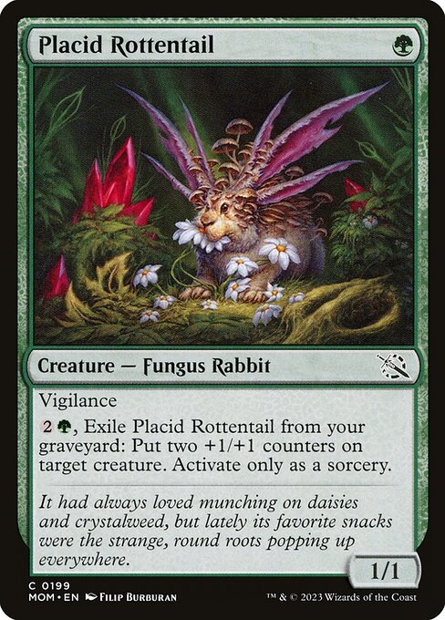 Placid Rottentail card image