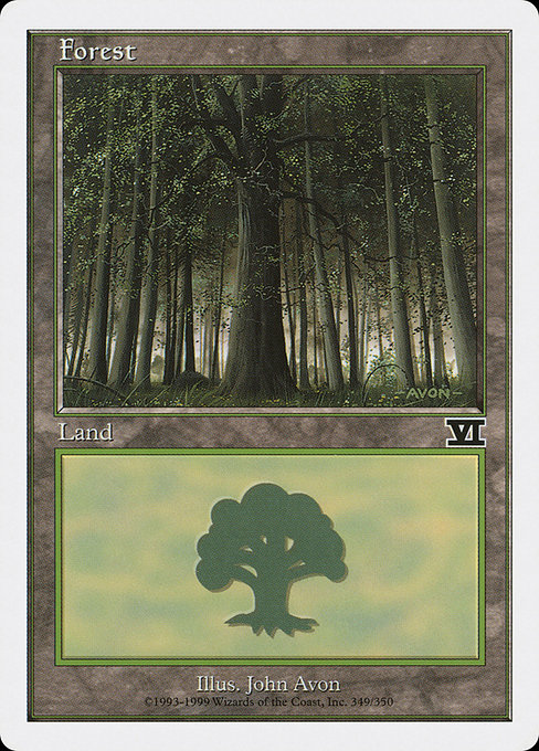 Forest (6ED)
