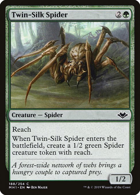 Araignée jumesoie|Twin-Silk Spider