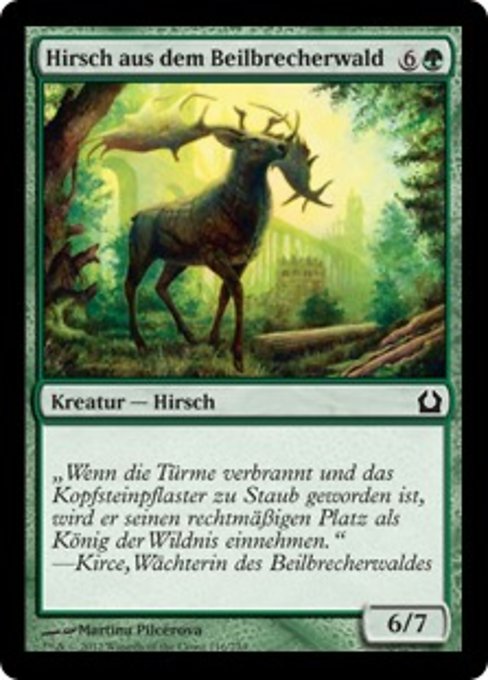 Hirsch aus dem Beilbrecherwald