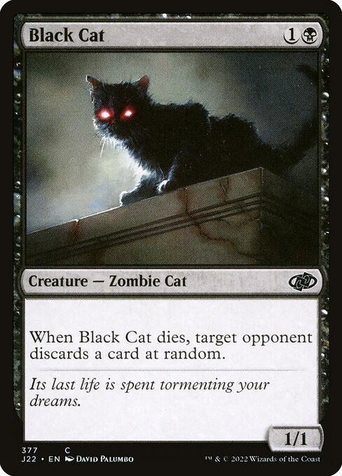 Chat noir|Black Cat