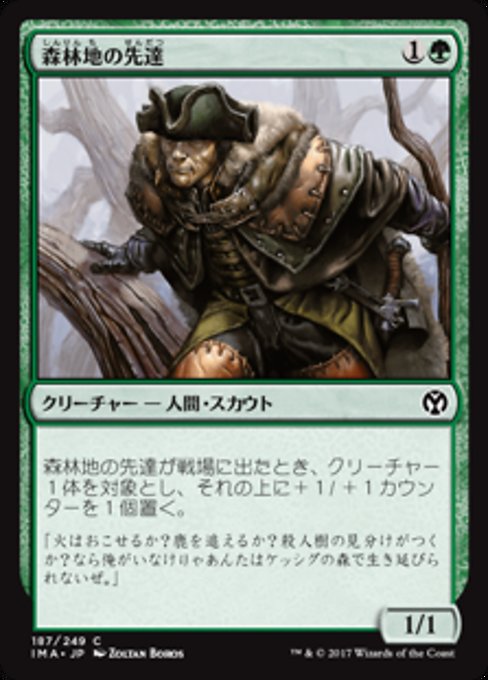 Timberland Guide (Iconic Masters #187)
