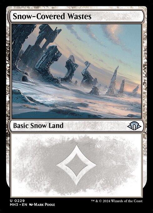 Landes enneigées|Snow-Covered Wastes