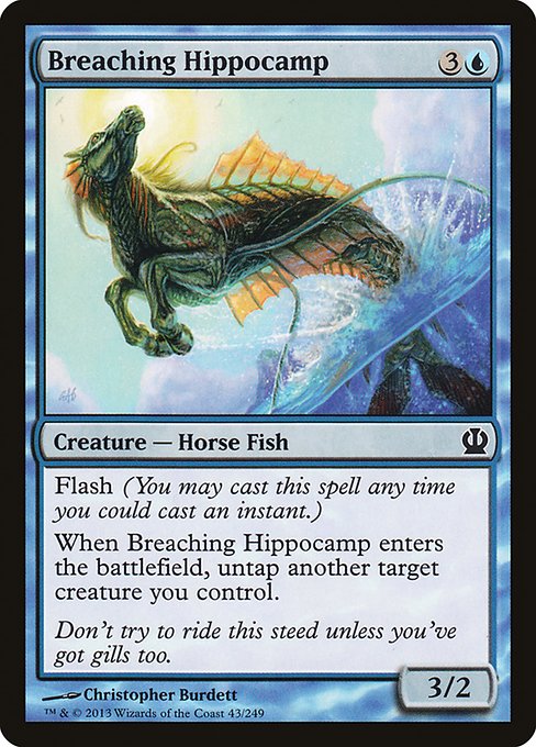 Breaching Hippocamp card image
