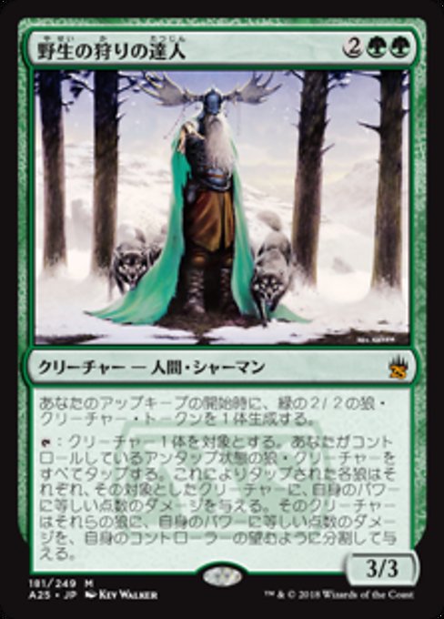 Master of the Wild Hunt (Masters 25 #181)