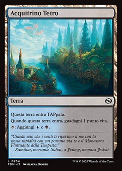 Acquitrino Tetro